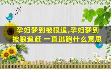 孕妇梦到被狼追,孕妇梦到被狼追赶 一直逃跑什么意思